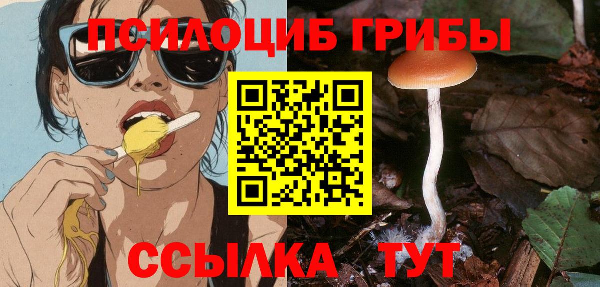 наркошоп  Вход с VPN  Галлюциногенные грибы Magic Shrooms  Каспийск  Псилоцибиновые грибы Cubensis 