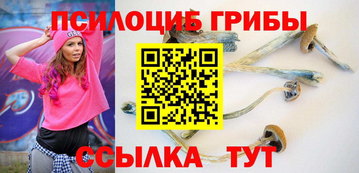 Галлюциногенные грибы прущие грибы Каспийск